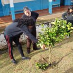 Formação sobre Fruticultura é realizada na comunidade Santa Inês, em Chopinzinho