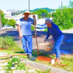 Colaboradores da Assesoar plantam árvores frutíferas e fortalecem práticas agroecológicas