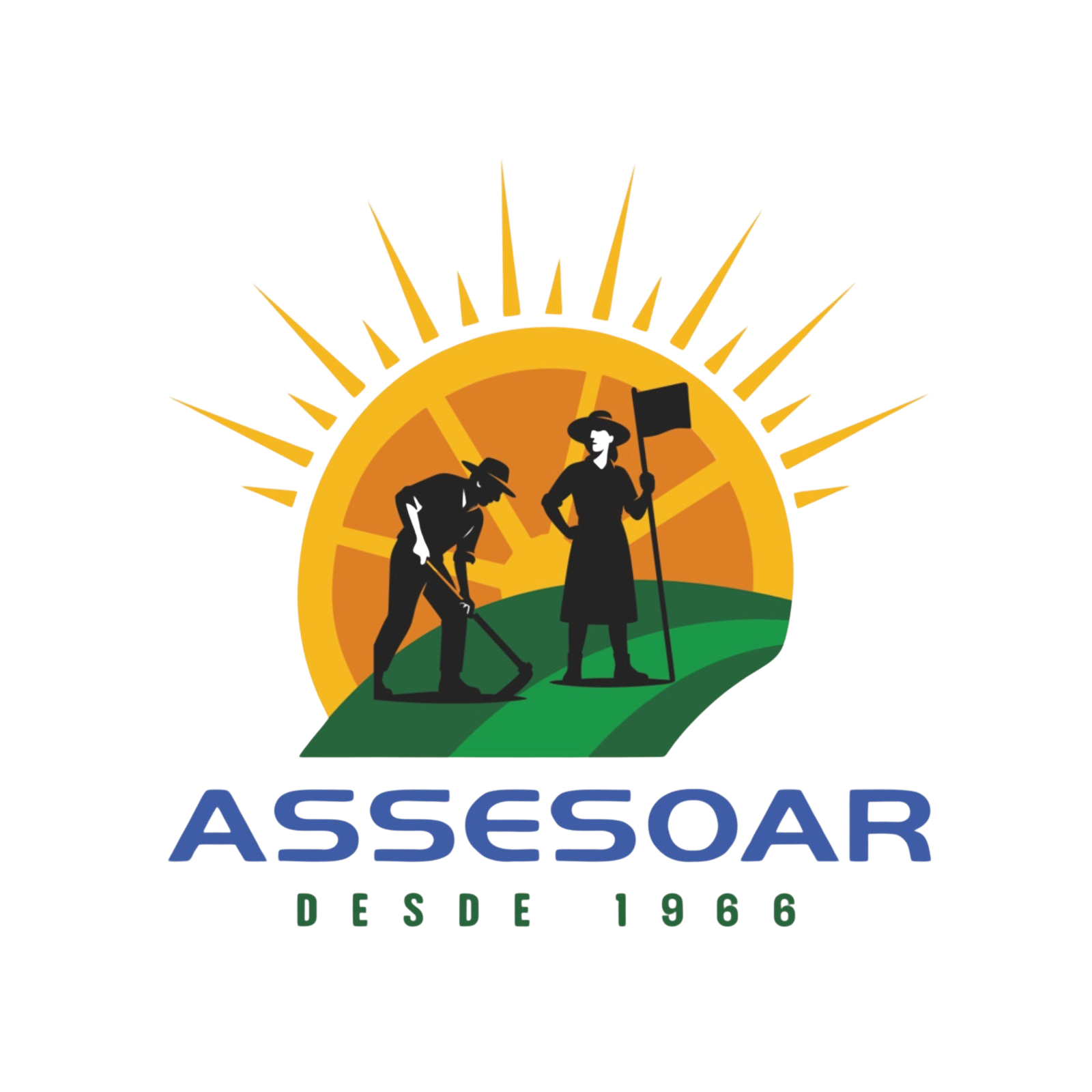 Assesoar